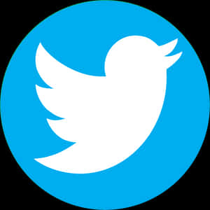 Twitter Logo Icon PNG image with transparent background