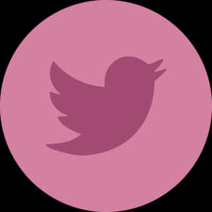 Twitter Logo Pink Background PNG image with transparent background