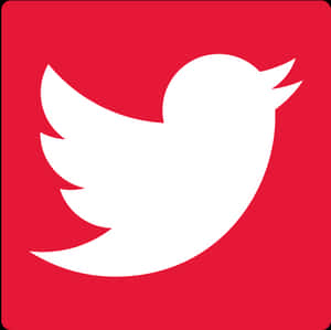 Twitter Logo Red Background PNG image with transparent background