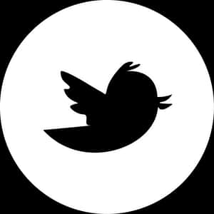 Twitter Logo Silhouette PNG image with transparent background