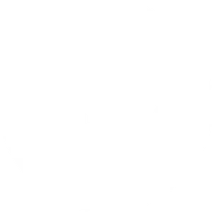 Twitter Logo Silhouette PNG Image