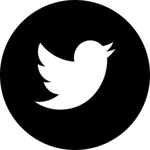 Twitter Logo Silhouette PNG Image