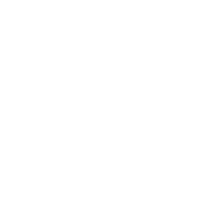 Twitter Logo Silhouette PNG Image