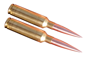 Two Ammunition Rounds PNG with transparent background