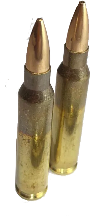 Two Bullets Standing PNG Image