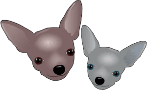 Two Chihuahuas Clipart, HD Png Download PNG image with transparent background