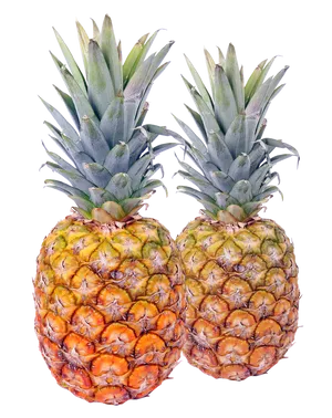 Two Fresh Pineapples Isolated PNG Image