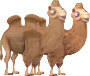 Two Headed Camel Illustration PNG Image