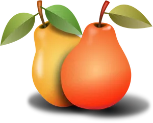 Two Pears Illustration PNG Image