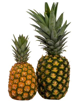 Two Pineapples Sideby Side PNG Image