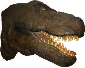 Tyrannosaurus Rex Head Model PNG Image