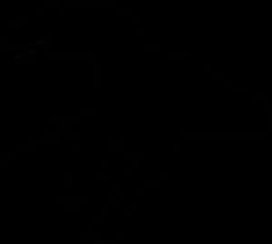 Tyrannosaurus Rex Silhouette PNG image with transparent background