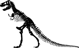 Tyrannosaurus Rex Skeleton Silhouette PNG image with transparent background