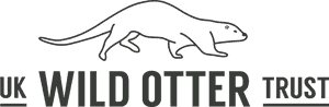 Uk Wild Otter Trust - Otter Trust, HD Png Download PNG image with transparent background