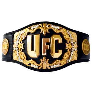 Ufc Heavyweight Champion Belt Png Kpi PNG Image