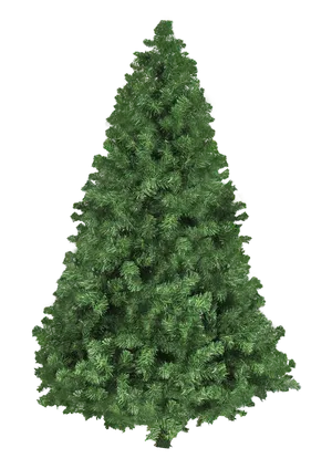 Unadorned Christmas Tree.png PNG Image