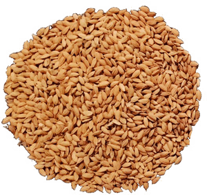Food,whole Grain,brown Rice,grass - Brown Rice Png, Transparent Png PNG with transparent background