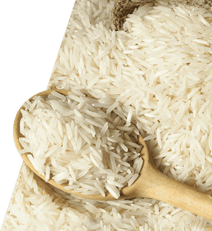 Rice PNG HD PNG