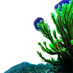 Underwater Algae Scene Png Pmp PNG Image