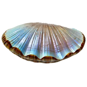 Underwater Clam Shell Png Rwi PNG Image