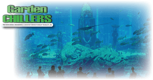 Underwater Observatory Viewing Aquatic Life PNG image with transparent background