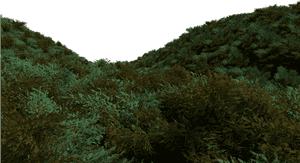 Underwater_ Seabed_ Foliage PNG image with transparent background