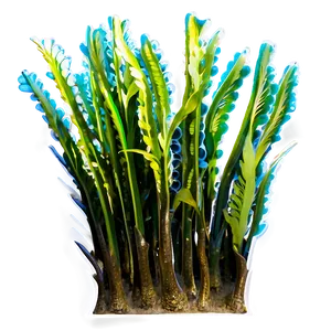 Underwater Seagrass Png Qnf PNG Image