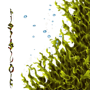 Underwater Seaweed Clipart PNG wfy PNG image with transparent background