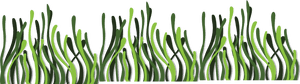 Seaweed Euclidean Vector Deep Sea - Transparent Background Seaweed Transparent, HD Png Download PNG with transparent background