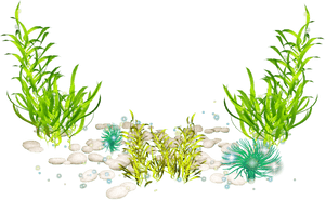 Transparent Seaweed Clipart Png - Seaweed Png, Png Download PNG with transparent background