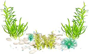 Underwater Seaweed Scene PNG Image