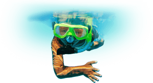 Snorkeling With Belize Pro Dive Center - Snorkelling Underwater Png Transparent, Png Download PNG image with transparent background