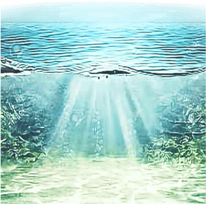 Underwater_ Sunbeams_ Aquatic_ View.jpg PNG with transparent background