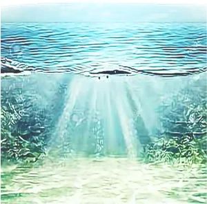 Underwater_ Sunbeams_ Aquatic_ View.jpg PNG Image