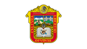Mx Mex Mexico Flag Icon - Gobierno Del Estado De Mexico, HD Png Download PNG image with transparent background