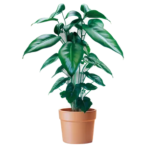 Urban Floor Plant Png Dab5 PNG Image