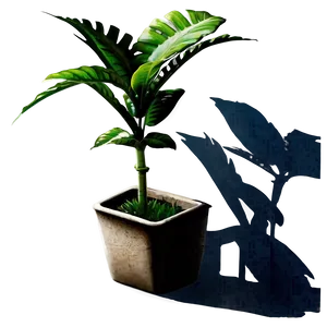 Urban Plant Shadow Png 31 PNG Image