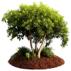 Urban Tolerant Shrubs Png Jkn PNG Image