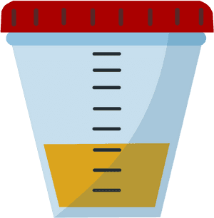 Urine Sample - Fecal Sample, HD Png Download PNG image with transparent background