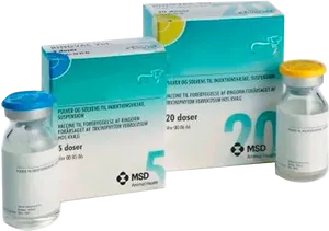 Vaccine Vialsand Packaging PNG Image