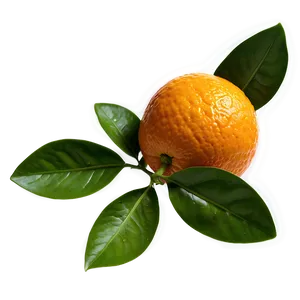 Valencia Oranges Png Prg19 PNG Image