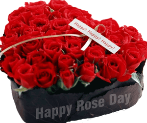 Happy Rose Day Png Image - Happy Valentine Day Rose, Transparent Png PNG image with transparent background