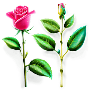 Valentines Day Roses PNG aah PNG image with transparent background