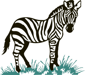 Valerie Wheelock, Md - Zebra Cartoon Png, Transparent Png PNG image with transparent background