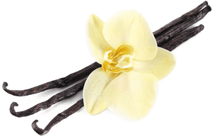 Vanilla Flavor Png, Transparent Png PNG with transparent background