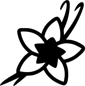 Vanilla - Vanilla Icon Png, Transparent Png PNG with transparent background