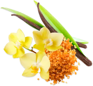 Vanilla Orchidand Podswith Crystals PNG Image