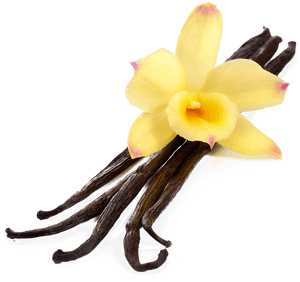 Flavor Extract Stock Photography - Transparent Background Vanilla Png, Png Download PNG with transparent background