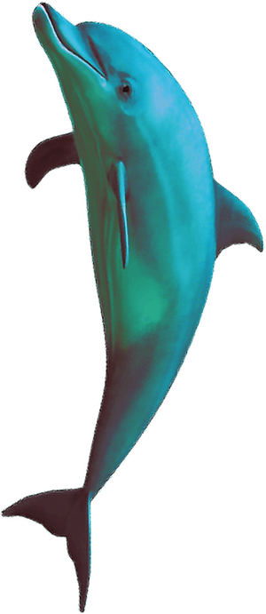 #vaporwave #aesthetic #aesthetics #dolphin #freetoedit - Vapor Wave Aesthetic Dolphins, HD Png Download PNG image with transparent background