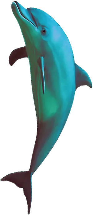 Vaporwave Dolphin Graphic PNG Image